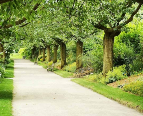 asphalt or concrete driveway pathway