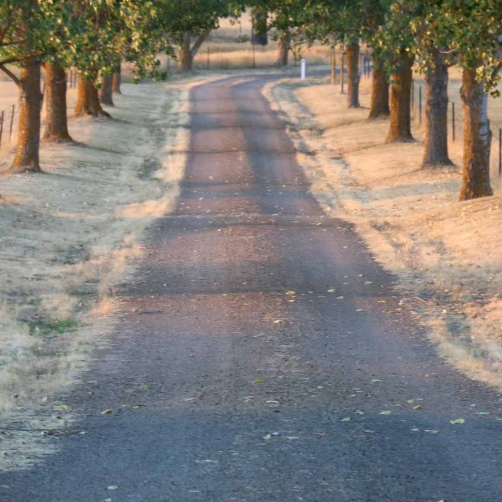 concrete or asphalt driveway pathway